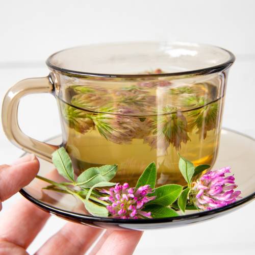 What is Red Clover Tea?